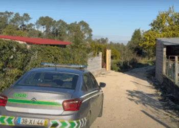 Homem encontrado sem vida dentro de poço. Estava desaparecido desde a madrugada na Mealhada