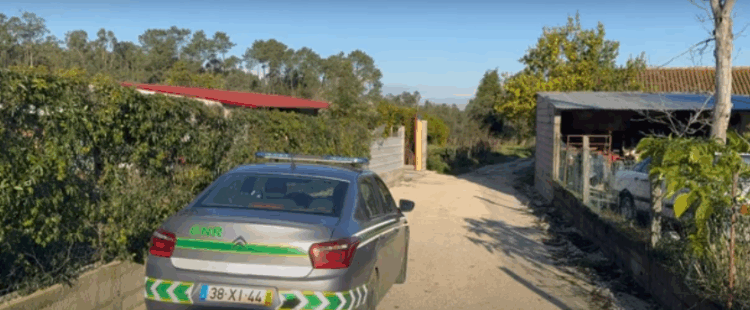 Homem encontrado sem vida dentro de poço. Estava desaparecido desde a madrugada na Mealhada