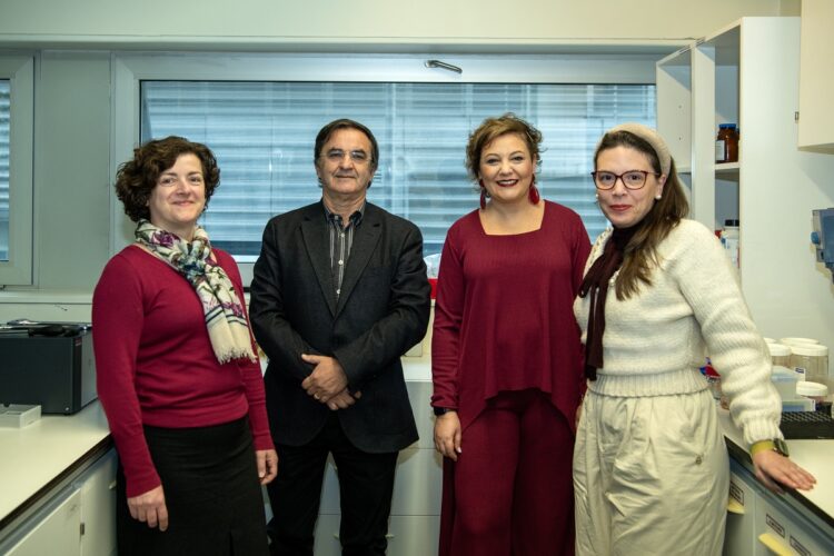 Universidade de Coimbra desenvolve nova estratégia terapêutica para subtipo agressivo de cancro da mama