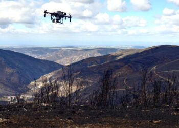 Sementeiras por drone avançam em encostas ardidas de Arganil