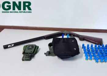 Região: Três detidos por caça com meios proibidos