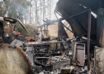 Habitação “completamente destruída” pelas chamas em Póvoa de Midões