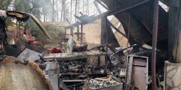 Habitação “completamente destruída” pelas chamas em Póvoa de Midões