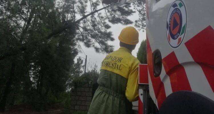 Seia: Sapador florestal denuncia abusos por parte de colegas