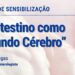 “O Intestino como segundo cérebro”: S. Martinho da Cortiça acolhe sessão de sensibilização