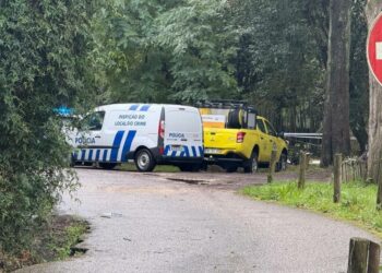 Disparo ouvido na Mata do Choupal em Coimbra: Agente da PSP encontrado sem vida