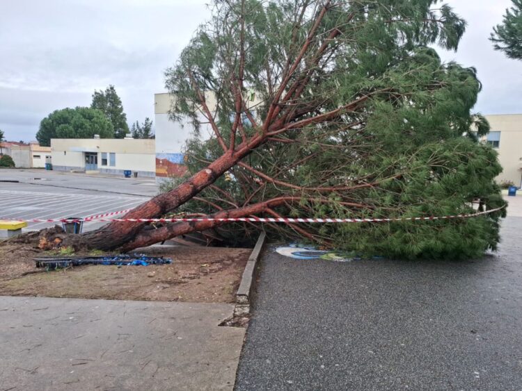 Arganil: Kristin causou “impactos pontuais na circulação rodoviária e em algumas infraestruturas”