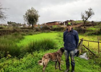 Pastor volta a perder tudo: depois dos incêndios, tempestade leva cobertura de ovil