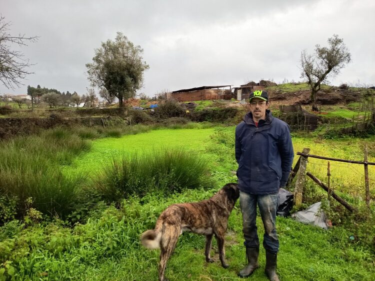 Pastor volta a perder tudo: depois dos incêndios, tempestade leva cobertura de ovil