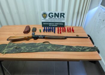 Caçador detido em Gouveia por usar chamariz para atrair tordos