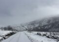 Estradas cortadas no concelho de Arganil devido à neve