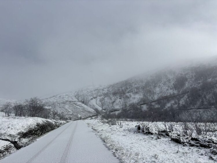 Estradas cortadas no concelho de Arganil devido à neve