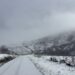 Estradas cortadas no concelho de Arganil devido à neve