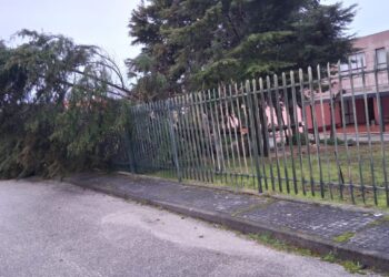 Depressão Kristin provoca 30 ocorrências em Oliveira do Hospital