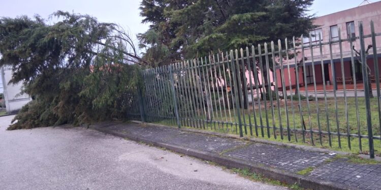 Depressão Kristin provoca 30 ocorrências em Oliveira do Hospital