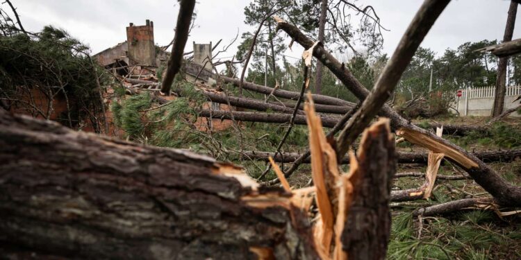 Região Metropolitana de Coimbra pede apoio urgente ao Governo após estragos da depressão Kristin