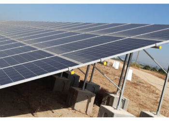 Bloco de Esquerda exige explicações ao Governo pelo abate de 508 sobreiros para projeto fotovoltaico em Oliveira do Hospital