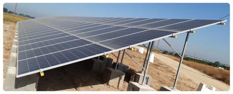 Bloco de Esquerda exige explicações ao Governo pelo abate de 508 sobreiros para projeto fotovoltaico em Oliveira do Hospital