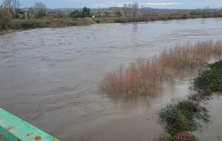 Proteção Civil alerta para risco de cheias e inundações na região de Coimbra