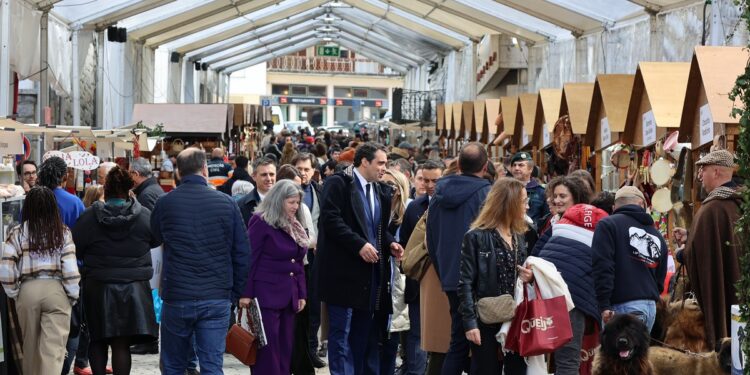 Feira do Queijo Serra da Estrela decorre de 14 a 17 em Seia: “Uma referência nacional na valorização do queijo e de toda a sua fileira”