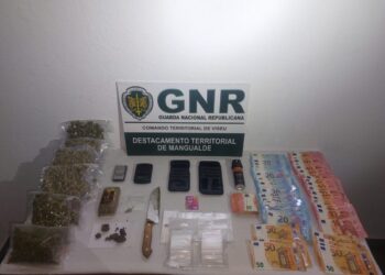 Nelas: Homem e mulher detidos por tráfico de estupefacientes e posse de arma proibida
