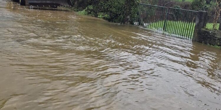 Município de Tábua pede aos agricultores que comuniquem prejuízos das tempestades