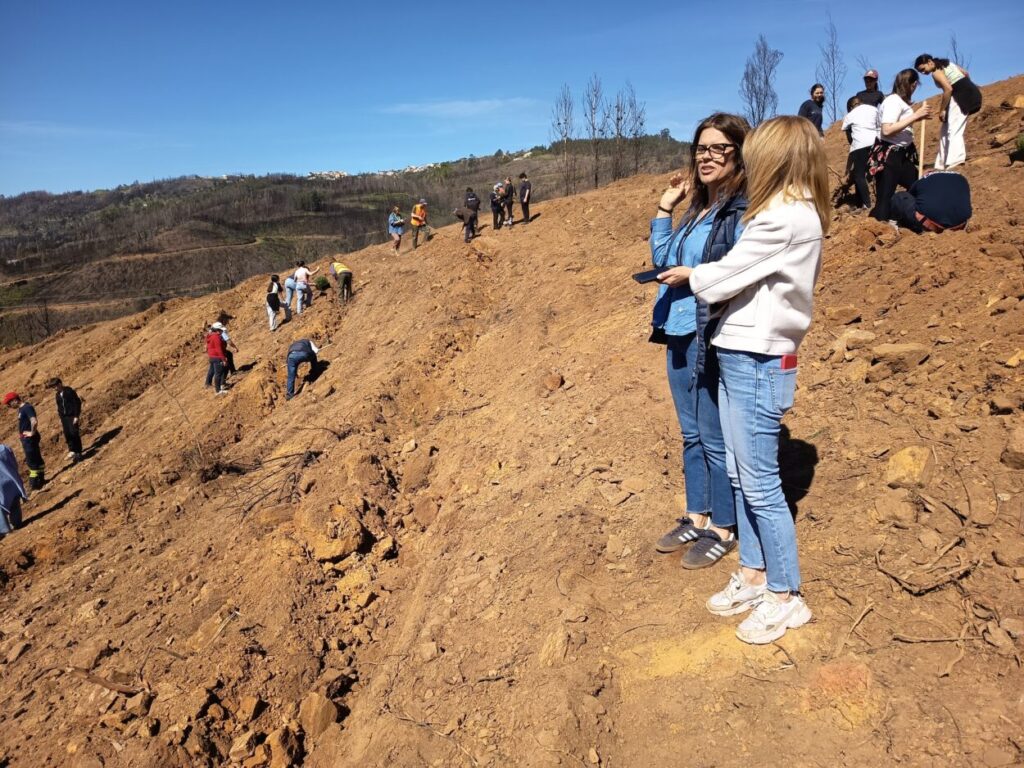 Município e alunos da Ponte das Três Entradas promovem reflorestação de cinco hectares. Foram plantados 500 pinheiros mansos