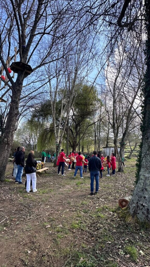 Novo Parque Aventura nas "Entre-as-Águas" promete dinamizar Meruge e atrair visitantes