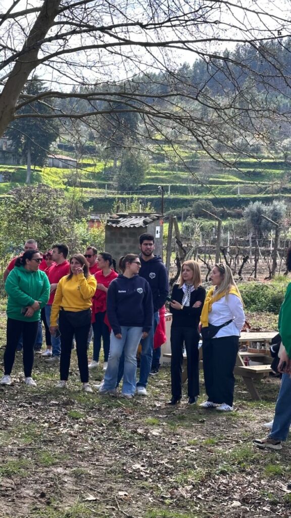 Novo Parque Aventura nas "Entre-as-Águas" promete dinamizar Meruge e atrair visitantes