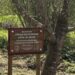 Novo Parque Aventura nas "Entre-as-Águas" promete dinamizar Meruge e atrair visitantes Novo Parque Aventura nas “Entre-as-Águas” promete dinamizar Meruge e atrair visitantes