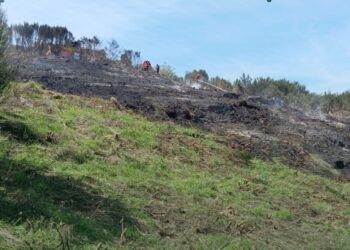 Dois detidos por fogo rural após queimadas que se descontrolaram em Seia