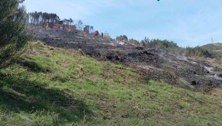 Dois detidos por fogo rural após queimadas que se descontrolaram em Seia
