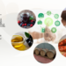 ADIBER com apoio ao investimento na agro-indústria e economia circular