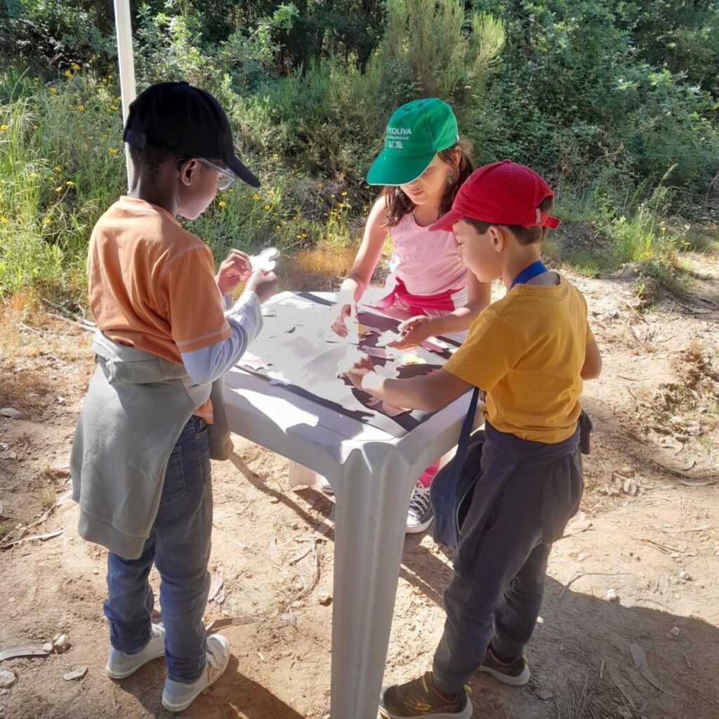 Município de Tábua promoveu mais uma edição dos “Percursos na Natureza”