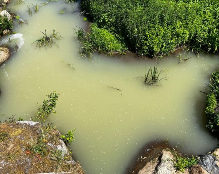 “Crime continuado e impune”: Meruge volta a denunciar descargas no Rio Cobral “Crime continuado e impune”: Meruge volta a denunciar descargas no Rio Cobral