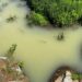 “Crime continuado e impune”: Meruge volta a denunciar descargas no Rio Cobral