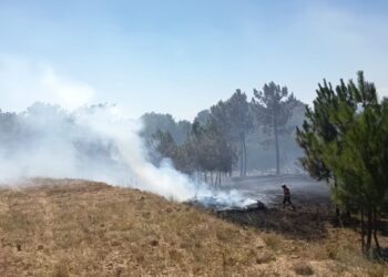 Resposta rápida dos meios trava incêndio em Gavinhos de Cima Resposta rápida dos meios trava incêndio em Gavinhos de Cima