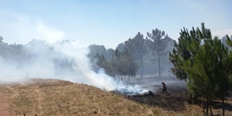 Resposta rápida dos meios trava incêndio em Gavinhos de Cima