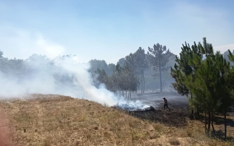 Resposta rápida dos meios trava incêndio em Gavinhos de Cima Resposta rápida dos meios trava incêndio em Gavinhos de Cima