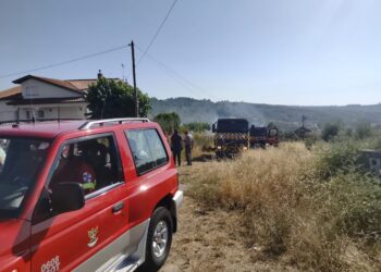 Incêndio em Aldeia de Nogueira entrou em fase de resolução após rápida intervenção dos meios Incêndio em Aldeia de Nogueira entrou em fase de resolução após rápida intervenção dos meios