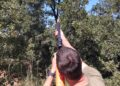 Programa de combate à vespa asiática destrói mais de duas centenas de ninhos em Oliveira do Hospital Programa de combate à vespa asiática destrói mais de duas centenas de ninhos em Oliveira do Hospital