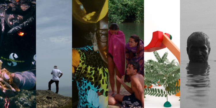 CineEco: Seia volta a ser “o centro do cinema ambiental” de todo o mundo entre 9 e 17 de outubro