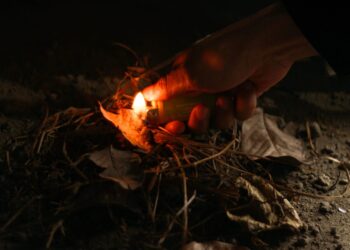 Tábua: Jovem de 13 anos identificado pela PJ por alegada autoria de três fogos rurais em Sinde
