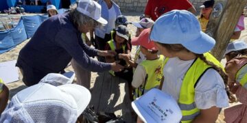 Europe Direct Região de Coimbra e de Leiria e Município de Mira promovem ação de sensibilização ambiental na Praia de Mira