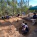 Tábua: Trabalhos arqueológicos em Balocas investigam vestígios militares da época romana