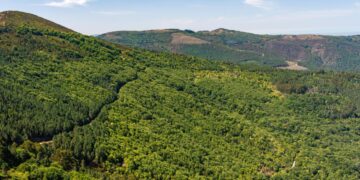 Conferência em Arganil apresenta projeto da Floresta da Serra do Açor que prevê recuperar 2.500 hectares